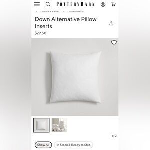 Pottery Barn down alternative Insert 24x24
